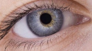 Statin Use Associated With Cataract Development 